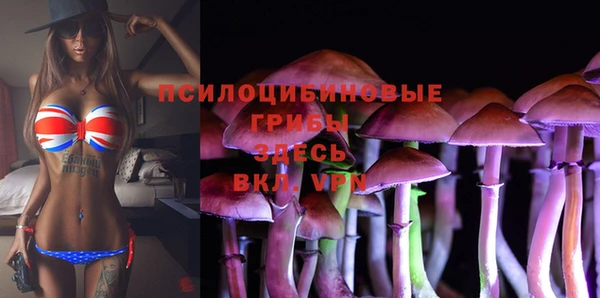 экстази Алексеевка