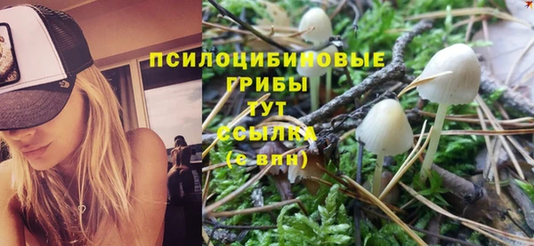 экстази Алексеевка