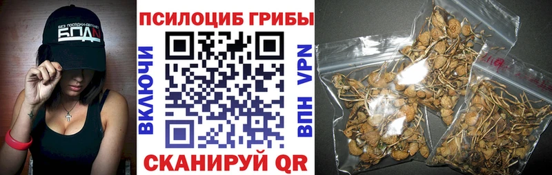 где продают Спасск-Рязанский Псилоцибиновые грибы мухоморы